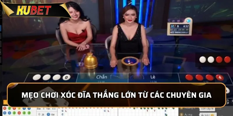 Mẹo chơi xóc đĩa thắng lớn từ các chuyên gia