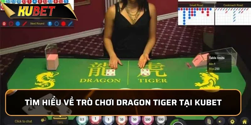 Tìm hiểu về trò chơi Dragon Tiger tại KUBET